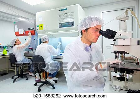 Stock Image - Researchers working in the cell culture room and observing the morphology of the cells through inverted and fluorescence microscope. Fotosearch
