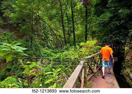 Reserva de la Biosfera Monte El Canal y Los Tiles Pueblo Los Sauces Isla La Palma Provincia Santa Cruz Islas Canarias Espaa View Large Photo Image Stock Image - Reserva de la Biosfera Monte El Canal y Los Tiles Pueblo Los Sauces Isla La Palma Provincia Santa Cruz Islas Canarias Espaa. Fotosearch