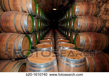 Reserve wine barrels, Marques de Riscal winery, Elciego, Rioja Alavesa, Alava, Basque Country, Spain View Large Photo Image Stock Image - Reserve wine barrels, Marques de Riscal winery, Elciego, Rioja Alavesa, Alava, Basque Country, Spain. Fotosearch