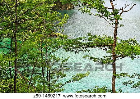 reservoir of lago di palagnedra - centovalli valley - canton of ticino - switzerland View Large Photo Image Stock Photo - reservoir of lago di palagnedra - centovalli valley - canton of ticino - switzerland. Fotosearch