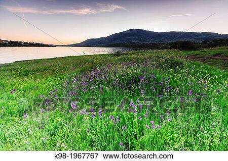 Reservoir Plasencia, Caceres, Extremadura, Spain, europe. View Large Photo Image Stock Photo - Reservoir Plasencia, Caceres, Extremadura, Spain, europe.. Fotosearch