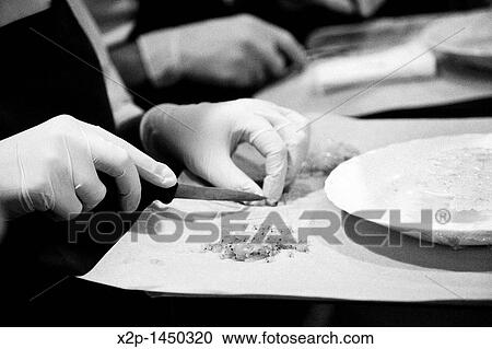 Restaurant El Bulli and the chef, Ferran Adria View Large Photo Image Stock Image - Restaurant El Bulli and the chef, Ferran Adria. Fotosearch