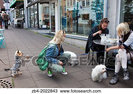 Restaurants and shops in Center Town, Reykjavik, Iceland. View Large Photo Image Stock Image - Restaurants and shops in Center Town, Reykjavik, Iceland.. Fotosearch