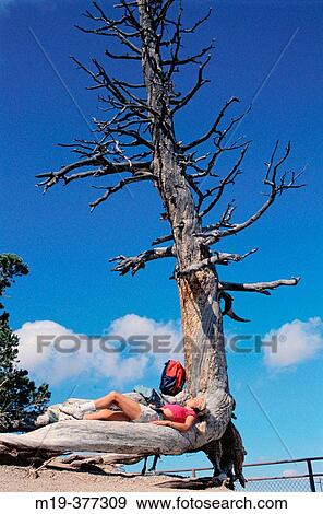 Stock Photo - resting backpacker sunning. Fotosearch