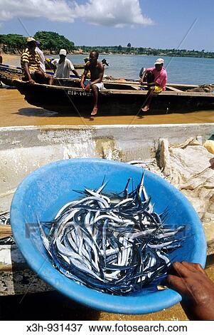 Stock Photo - retour de peche, fishing, Sao Tome,?le de l? ocean atlantique, archipel de Sao Tome e Principe, Afrique. Fotosearch