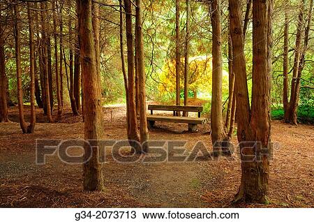 Retreat, Kubota Gardens, Seattle, Washington, USA View Large Photo Image Stock Image - Retreat, Kubota Gardens, Seattle, Washington, USA. Fotosearch