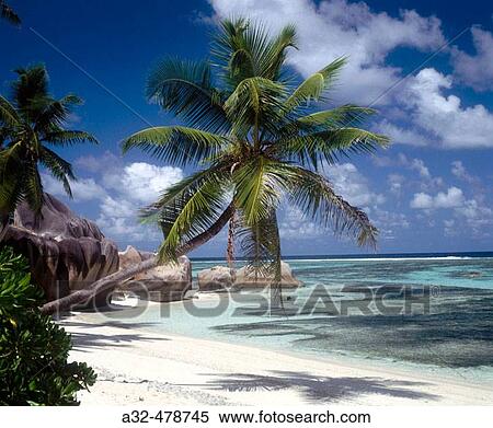 Reunion beach, La Digue island, Seychelles View Large Photo Image Stock Photography - Reunion beach, La Digue island, Seychelles. Fotosearch