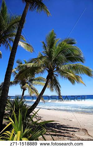 Reunion Island Indian Ocean, France, Grande Anse, beach. View Large Photo Image Stock Photo - Reunion Island Indian Ocean, France, Grande Anse, beach.. Fotosearch