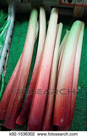 Rhubarb for sale at a farmers? market View Large Photo Image Stock Image - Rhubarb for sale at a farmers? market. Fotosearch