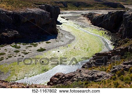 Ria Deseado Provincial Nature Preserve, Puerto Deseado, Patagonia, Argentina View Large Photo Image Stock Image - Ria Deseado Provincial Nature Preserve, Puerto Deseado, Patagonia, Argentina. Fotosearch