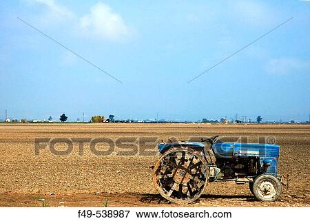 Rice field, Ebro River delta. Tarragona province, Catalonia, Spain View Large Photo Image Stock Photo - Rice field, Ebro River delta. Tarragona province, Catalonia, Spain. Fotosearch