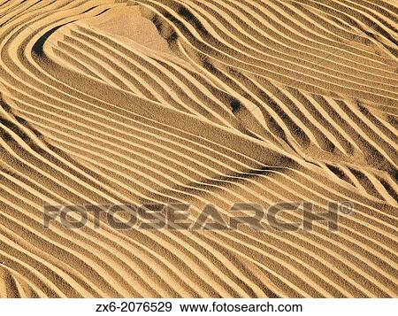 Rice over threshing floor. Ebro River Delta Natural Park, Tarragona province, Catalonia, Spain. View Large Photo Image Stock Photo - Rice over threshing floor. Ebro River Delta Natural Park, Tarragona province, Catalonia, Spain.. Fotosearch