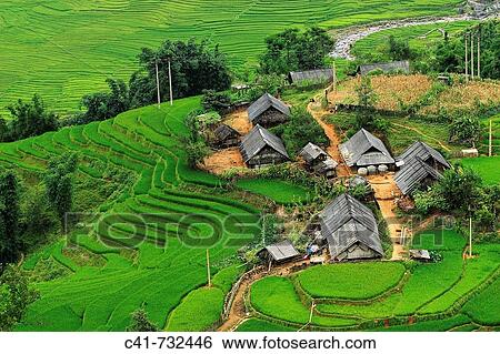 Rice terraces, Lao Cai, Vietnam View Large Photo Image Stock Photograph - Rice terraces, Lao Cai, Vietnam. Fotosearch