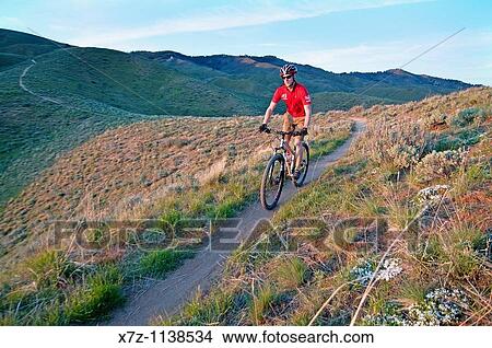 Ridge to Rivers Mountain Bike Ranger mountain biking the Three Bears Trail high in the Boise foothills near the city of Boise in southwestern Idaho View Large Photo Image Picture - Ridge to Rivers Mountain Bike Ranger mountain biking the Three Bears Trail high in the Boise foothills near the city of Boise in southwestern Idaho. Fotosearch