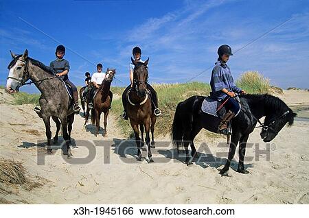 riding in the sand dunes, Hardelot, Pas-de-Calais department, Nord-Pas-de-Calais region, France, Europe. View Large Photo Image Stock Photograph - riding in the sand dunes, Hardelot, Pas-de-Calais department, Nord-Pas-de-Calais region, France, Europe.. Fotosearch