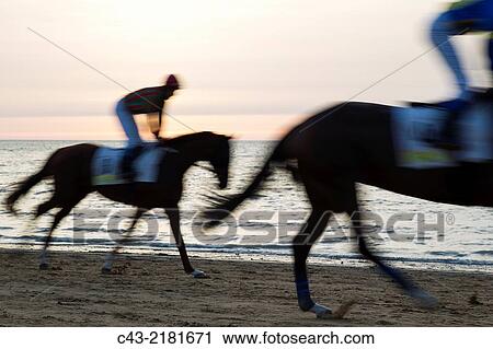 Riding towards the starting gate during the famous horse races of Sanlcar de Barrameda which take place every year during August along a 1. 800m stretch of beach at the mouth of the River Guadalquivir. View Large Photo Image Stock Image - Riding towards the starting gate during the famous horse races of Sanlcar de Barrameda which take place every year during August along a 1. 800m stretch of beach at the mouth of the River Guadalquivir.. Fotosearch