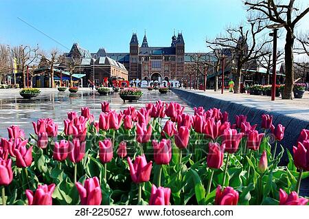 Rijskmuseum at Museumplein in Amsterdam. View Large Photo Image Stock Photo - Rijskmuseum at Museumplein in Amsterdam.. Fotosearch