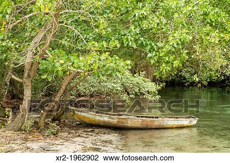 Rincon beach, Dominican Republic. View Large Photo Image Stock Image - Rincon beach, Dominican Republic.. Fotosearch