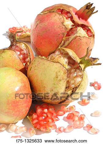 Stock Image - Ripe pomegranates. Fotosearch