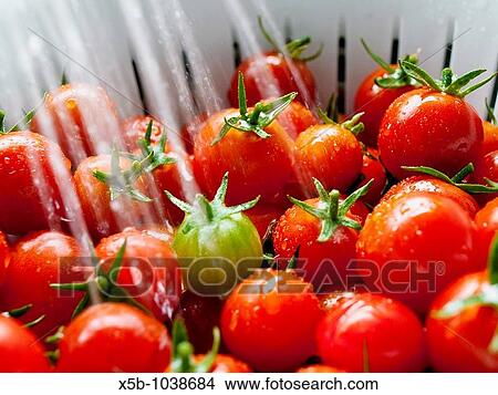 Ripe red cherry tomatoes in white colander Steam of water washing them close up soft, blurred water stream, eye view, horizontal View Large Photo Image Picture - Ripe red cherry tomatoes in white colander Steam of water washing them close up soft, blurred water stream, eye view, horizontal. Fotosearch