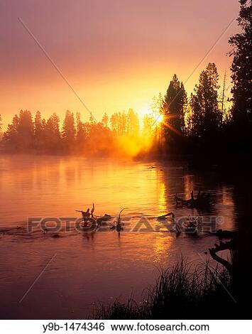 Rising sun breaks through morning fog along the Deschutes River, near Besson Camp, Deschutes National Forest, Oregon, USA View Large Photo Image Stock Photograph - Rising sun breaks through morning fog along the Deschutes River, near Besson Camp, Deschutes National Forest, Oregon, USA. Fotosearch