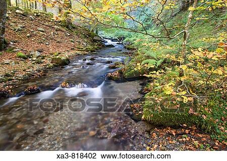 River at autumn, Selva de Irati forest, Navarra, Pyrenees, Spain View Large Photo Image Stock Image - River at autumn, Selva de Irati forest, Navarra, Pyrenees, Spain. Fotosearch