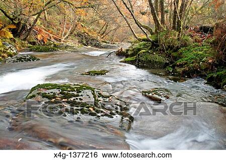 Stock Photograph - River Cerves Melon, Ourense, Galicia, Spain. Fotosearch