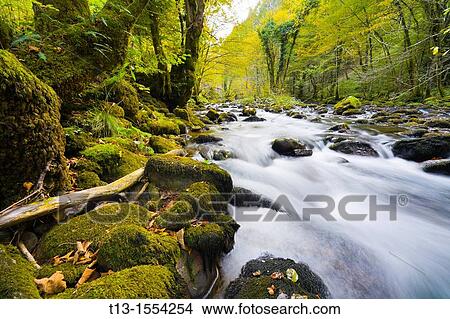 River Curak in Zeleni vir park near Skrad in Croatia, long exposure tripod shot View Large Photo Image Picture - River Curak in Zeleni vir park near Skrad in Croatia, long exposure tripod shot. Fotosearch