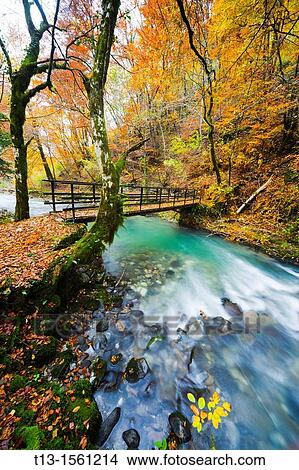 River Curak in Zeleni vir park near Skrad in Croatia, long exposure tripod shot View Large Photo Image Picture - River Curak in Zeleni vir park near Skrad in Croatia, long exposure tripod shot. Fotosearch