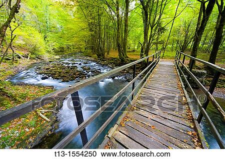 River Curak in Zeleni vir park near Skrad in Croatia, long exposure tripod shot View Large Photo Image Stock Image - River Curak in Zeleni vir park near Skrad in Croatia, long exposure tripod shot. Fotosearch