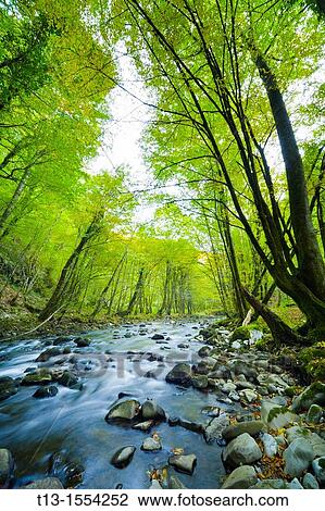 River Curak in Zeleni vir park near Skrad in Croatia, long exposure tripod shot View Large Photo Image Stock Image - River Curak in Zeleni vir park near Skrad in Croatia, long exposure tripod shot. Fotosearch