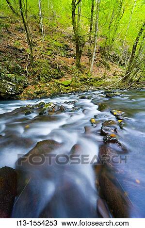 Stock Image - River Curak in Zeleni vir park near Skrad in Croatia, long exposure tripod shot. Fotosearch