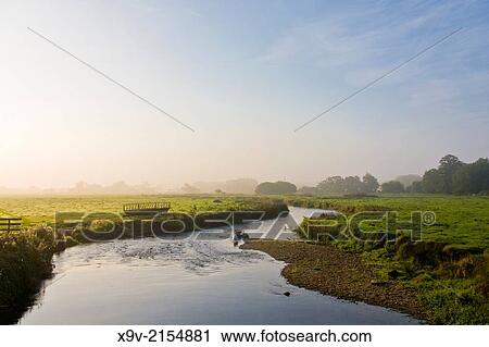 River Frome, Dorset, England. View Large Photo Image Stock Image - River Frome, Dorset, England.. Fotosearch