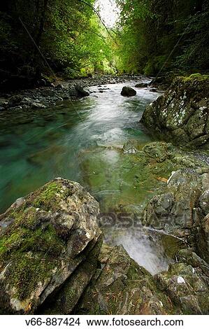 River in Strathcona Provincial Park (Vancouver Island) View Large Photo Image Picture - River in Strathcona Provincial Park (Vancouver Island). Fotosearch