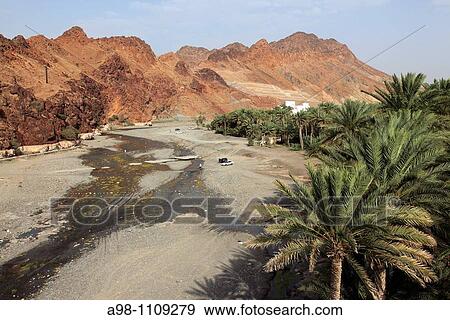river runlet in wadi with date palms at the village of Fanja, Hajar al Gharbi, Sultanate of Oman, Asia. View Large Photo Image Stock Photo - river runlet in wadi with date palms at the village of Fanja, Hajar al Gharbi, Sultanate of Oman, Asia.. Fotosearch