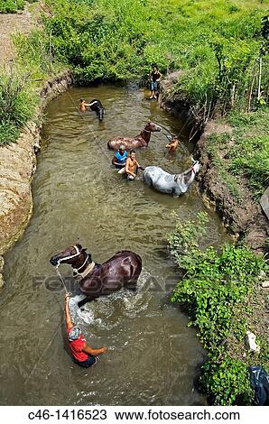 River, Sancti Spiritus Province, Cuba. View Large Photo Image Stock Image - River, Sancti Spiritus Province, Cuba.. Fotosearch