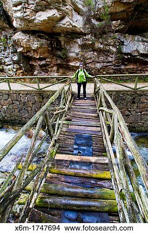 Picture - River Sobrescobio Alba river route Redes National Park, Asturias, Spain. Fotosearch
