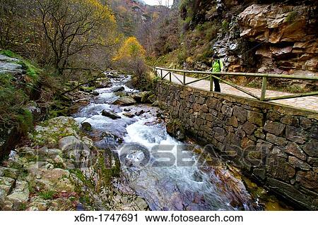 River Sobrescobio Alba river route Redes National Park, Asturias, Spain View Large Photo Image Stock Image - River Sobrescobio Alba river route Redes National Park, Asturias, Spain. Fotosearch