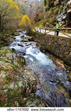Stock Image - River Sobrescobio Alba river route Redes National Park, Asturias, Spain. Fotosearch