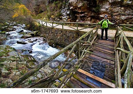 Stock Image - River Sobrescobio Alba river route Redes National Park, Asturias, Spain. Fotosearch