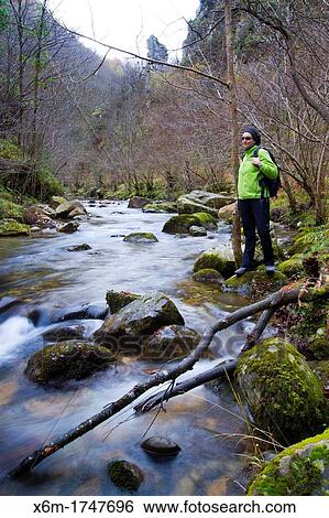Stock Photograph - River Sobrescobio Alba river route Redes National Park, Asturias, Spain. Fotosearch