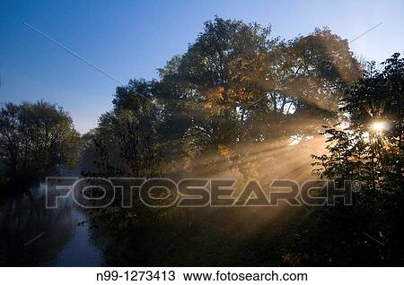 River valley, Aisch, Sunrise, morning mist, shafts of sunlight, autumn, Bavaria, Germany View Large Photo Image Stock Image - River valley, Aisch, Sunrise, morning mist, shafts of sunlight, autumn, Bavaria, Germany. Fotosearch