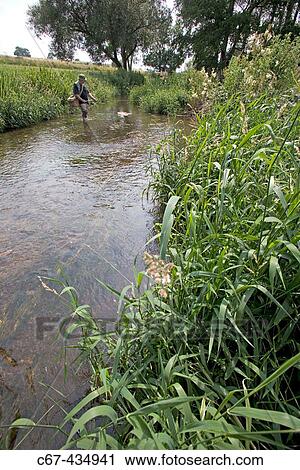 River Wensum, trout fishing. Norfolk. England. UK. View Large Photo Image Stock Image - River Wensum, trout fishing. Norfolk. England. UK.. Fotosearch