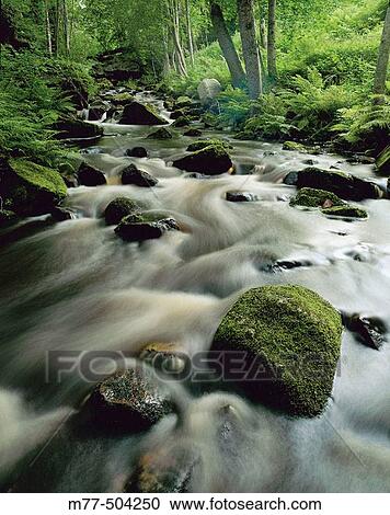 Rivers and Streams. N? rke. Sweden. View Large Photo Image Stock Image - Rivers and Streams. N? rke. Sweden.. Fotosearch