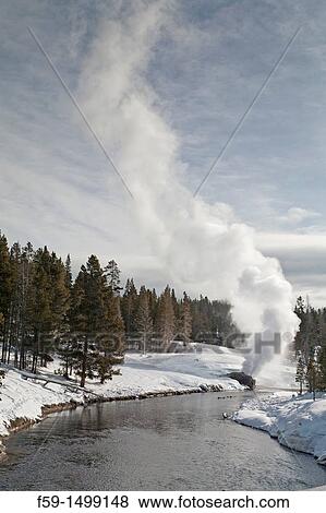 Riverside Geyser, Winter, Upper Geyser Basin, Yellowstone NP, WY View Large Photo Image Stock Photo - Riverside Geyser, Winter, Upper Geyser Basin, Yellowstone NP, WY. Fotosearch