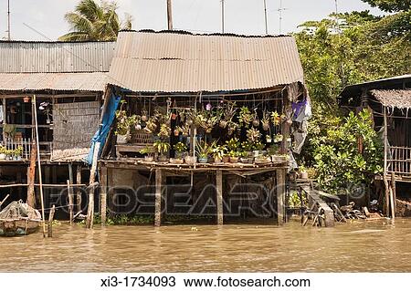 Riverside home supported by stilts, Cai Be, Mekong River Delta, Vietnam View Large Photo Image Stock Image - Riverside home supported by stilts, Cai Be, Mekong River Delta, Vietnam. Fotosearch
