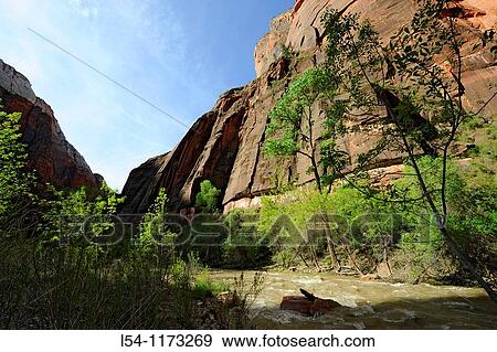 Riverside Walk Area Mount Zion National Park Utah View Large Photo Image Stock Photo - Riverside Walk Area Mount Zion National Park Utah. Fotosearch
