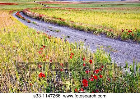 Road among the fields Pinto Madrid Spain View Large Photo Image Stock Photograph - Road among the fields Pinto Madrid Spain. Fotosearch
