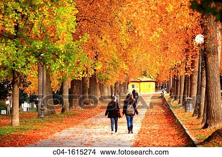 Road around the walls, Lucca, Tuscany, Italy View Large Photo Image Picture - Road around the walls, Lucca, Tuscany, Italy. Fotosearch