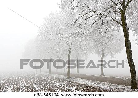 Picture - Road from Westhouse to Valff. Alsace. France.. Fotosearch